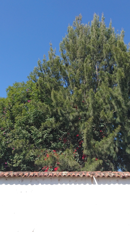 FOTOGRAFÍA [422 x 750 px]