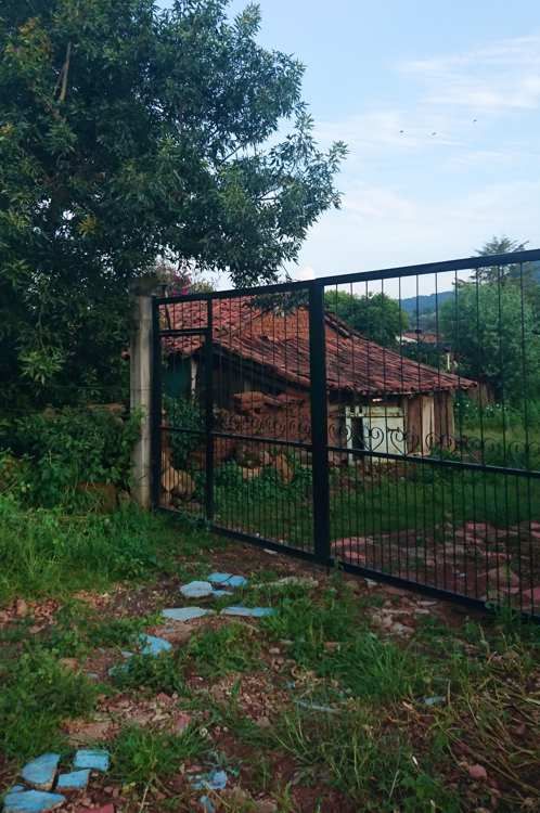 FOTOGRAFÍA [498 x 750 px]