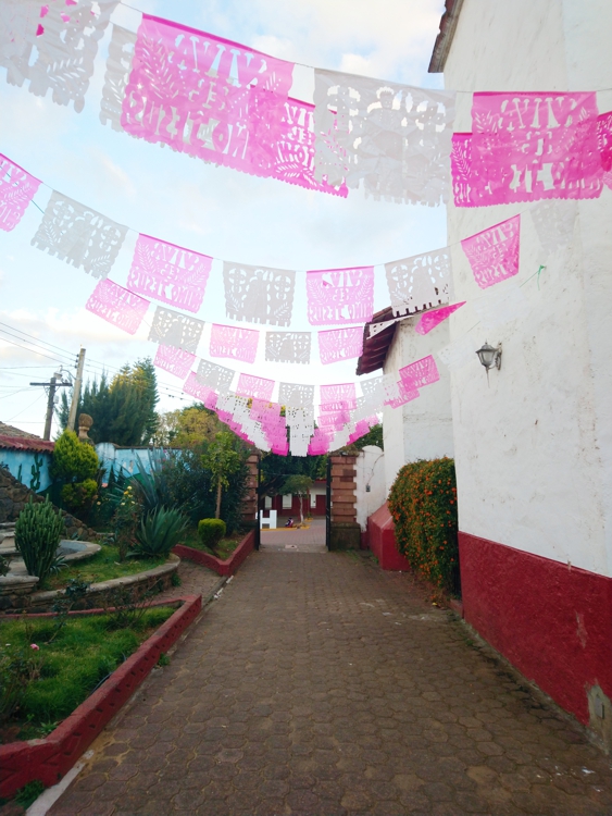 FOTOGRAFÍA [563 x 750 px]