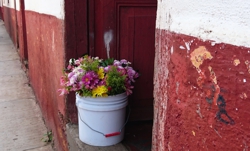 FOTOGRAFÍA No. 39 [250 x 151]