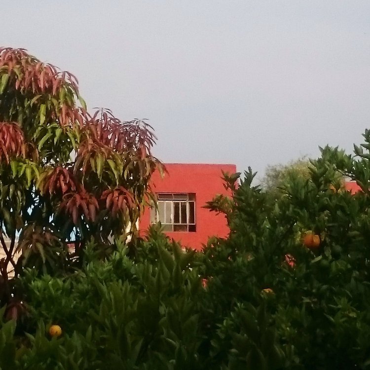 FOTOGRAFÍA 750x750px