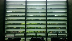 FOTOGRAFÍA [250 x 142]