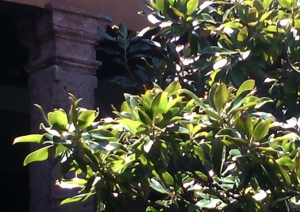 FOTOGRAFÍA 43 [300 x 212 px]