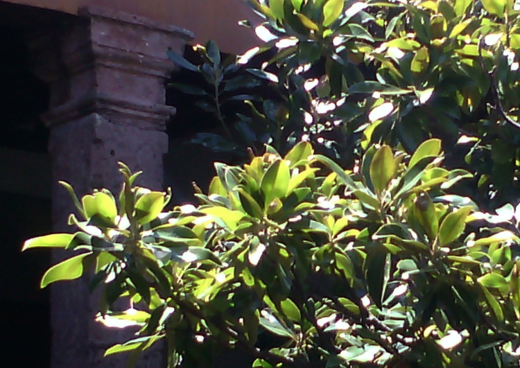 FOTOGRAFÍA 750 x 531 px