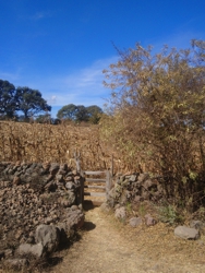 FOTOGRAFÍA No. 46 [188 x 250 px]