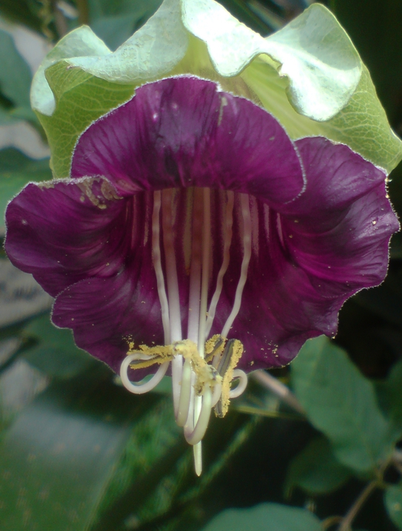 FOTOGRAFÍA 568x750px