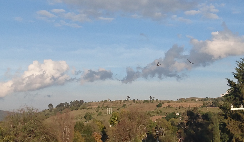 FOTOGRAFÍA [1000 x 584 px]