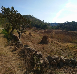 FOTOGRAFÍA 42 [300 x 288 px]