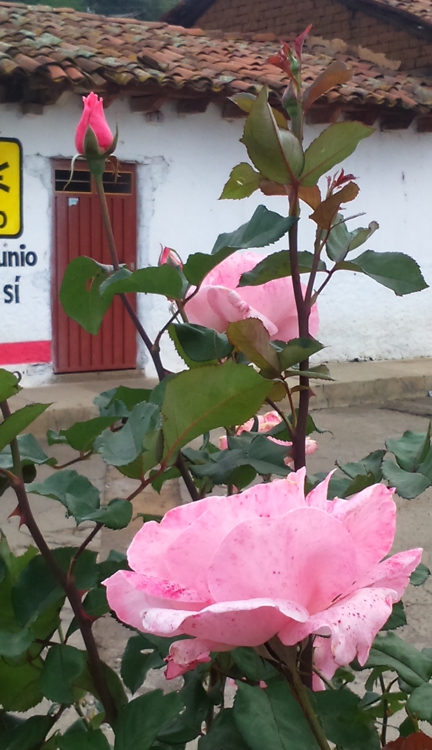 FOTOGRAFÍA 432x750px