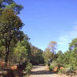 FOTOGRAFÍA 2004/04/03