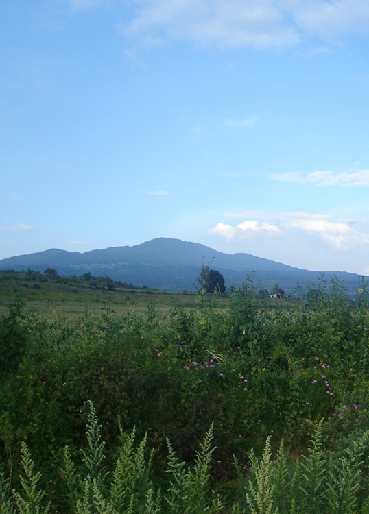 FOTOGRAFÍA [538 x 750 px]