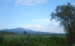 FOTOGRAFÍA [155 x 155 px]