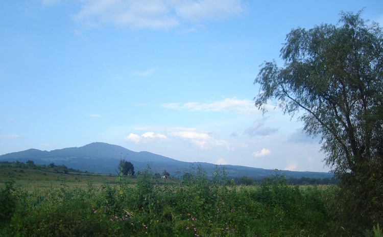 FOTOGRAFÍA [750 x 464px]