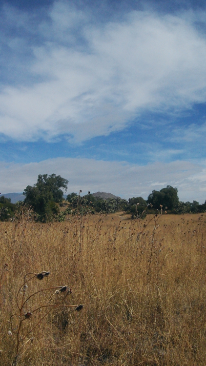 FOTOGRAFÍA [422 x 750 px] 