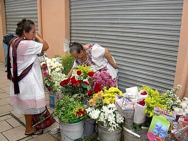 FOTOGRAFÍA 2 [612 x 459 px]