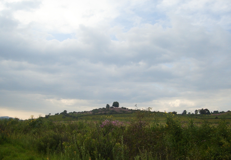 FOTOGRAFÍA 4 [750 x 519 px]