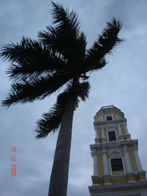 FOTOGRAFÍA [480 x 640 px]