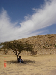 FOTOGRAFÍA 2006 02 01 [188 x 250px]