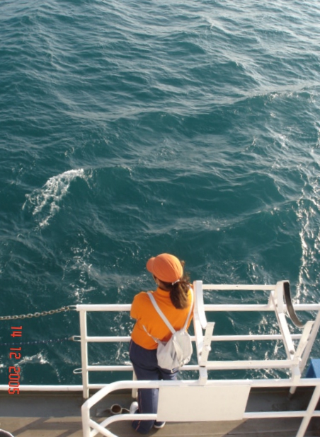 FOTOGRAFÍA 15 [452 x 618 px]