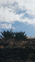 FOTOGRAFÍA 3-20051126 [141 x 250 px]