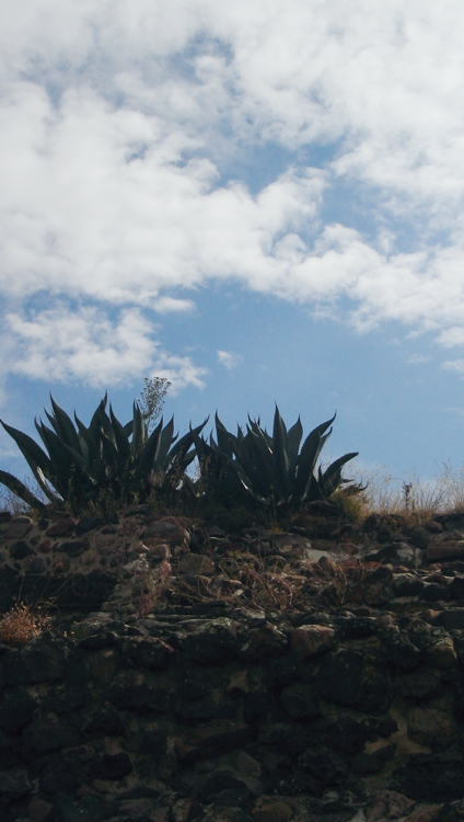 FOTOGRAFÍA [424 x 750 px]