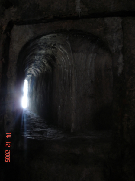 FOTOGRAFÍA 8 [447 x 596 px]