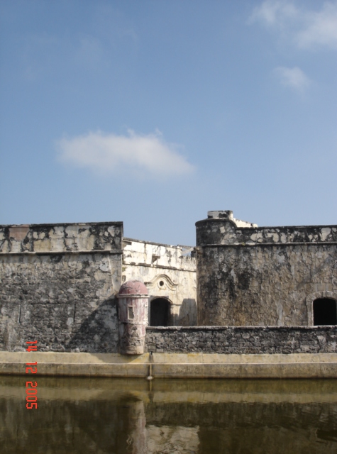 FOTOGRAFÍA 2 [475 x 640 px]