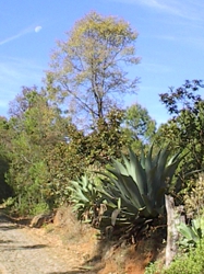 FOTOGRAFÍA [187 x 250 px]