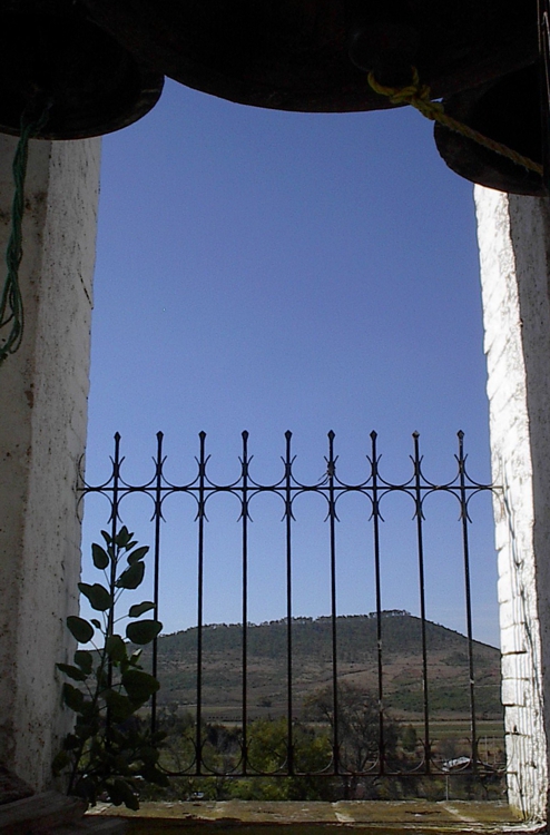 FOTOGRAFÍA [494 x 750 px]