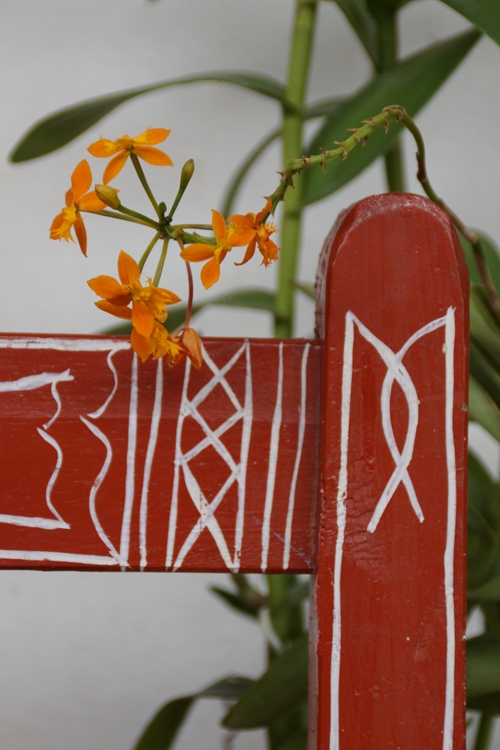 FOTOGRAFÍA [500 x 750 px]