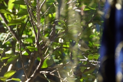 FOTOGRAFÍA 2019 01 01 A [250 x 167 px]