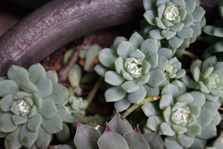 FOTOGRAFÍA [750 x 500 px]