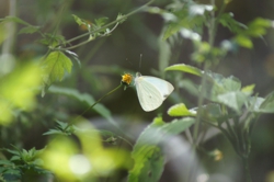 FOTOGRAFÍA 2019 12 25 A [250 x 166 px]