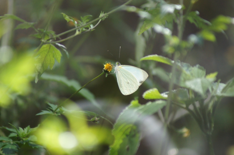 FOTOGRAFÍA 2019 12 25 A [750 x 498 px]