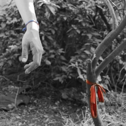 FOTOGRAFÍA B Gabriel, Mayo 2020 [250 x 250 px]