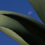 sección FOTOGRAFÍA - imagen representativa